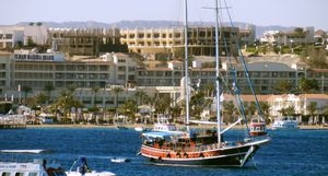 sharm-reef.jpg