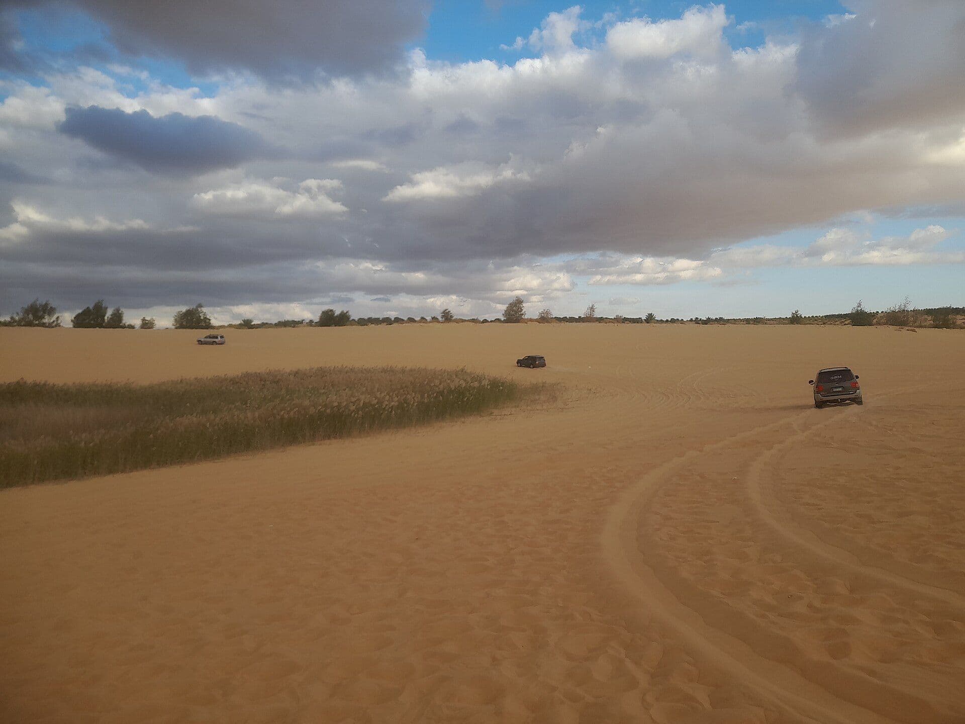 desert-safari-hero.jpg